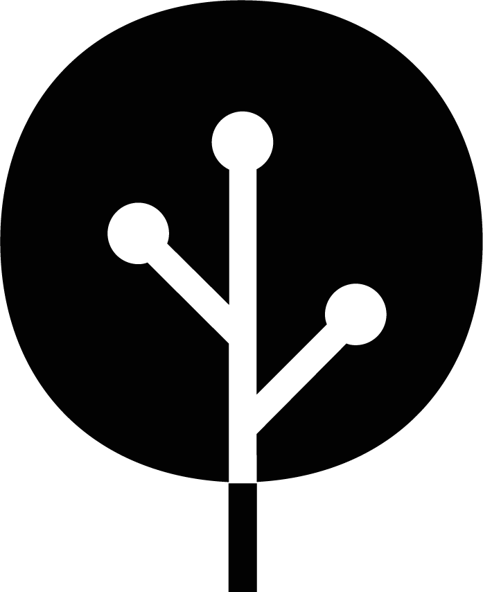 Light Tree Ventures About Us